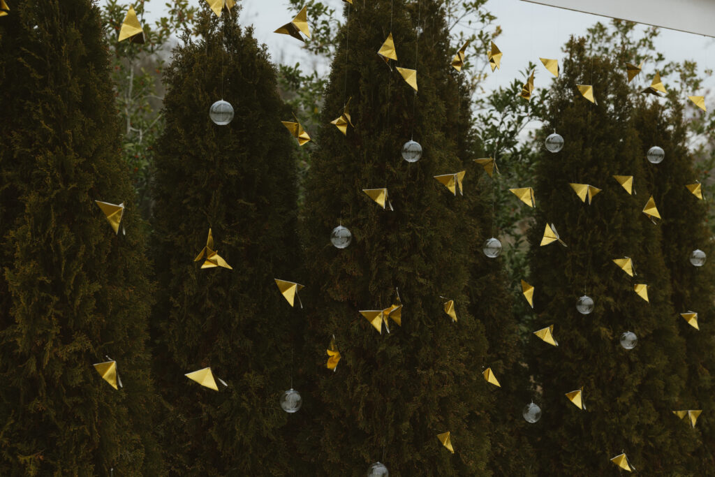 origami butterflies and bubbles